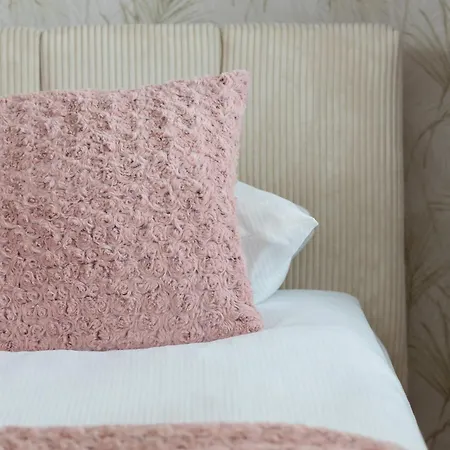Pink & Blue Cozy In By Renters Krakkó